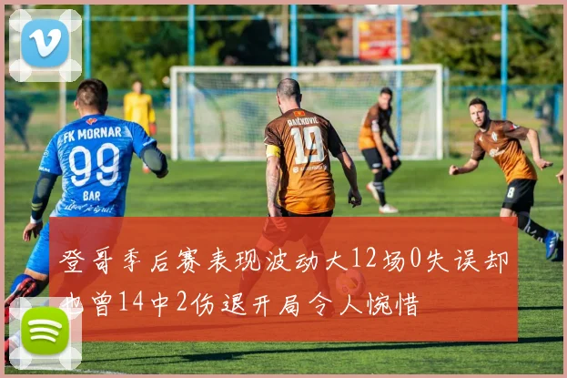 登哥季后赛表现波动大12场0失误却也曾14中2伤退开局令人惋惜