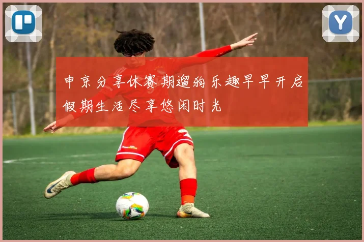 申京分享休赛期遛狗乐趣早早开启假期生活尽享悠闲时光